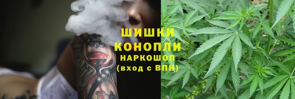СК Аркадак